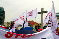 DSC5557